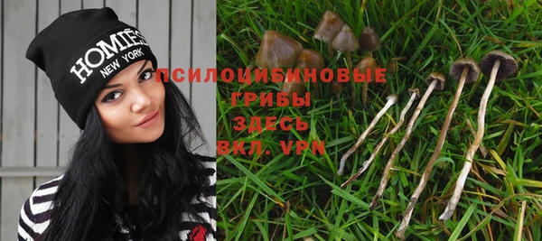 герыч Арсеньев