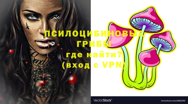 бошки Аркадак