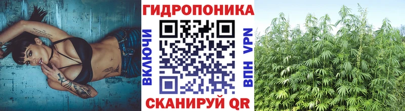 это наркотические препараты  как найти   Калач-на-Дону  Конопля Bruce Banner 